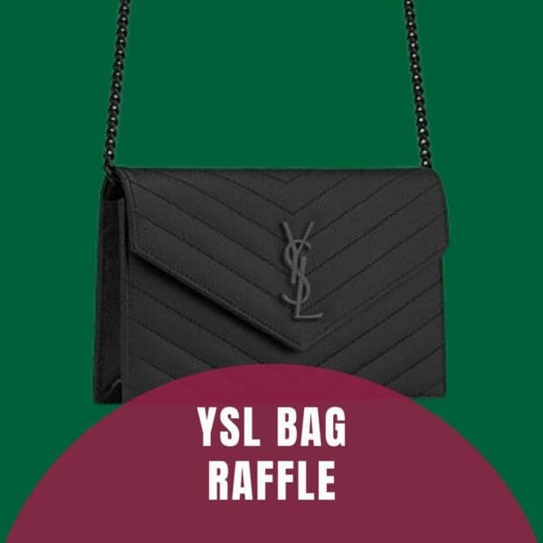 YSL Bag